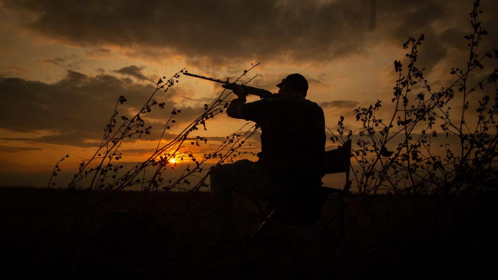 Legacy Built on the Bayou