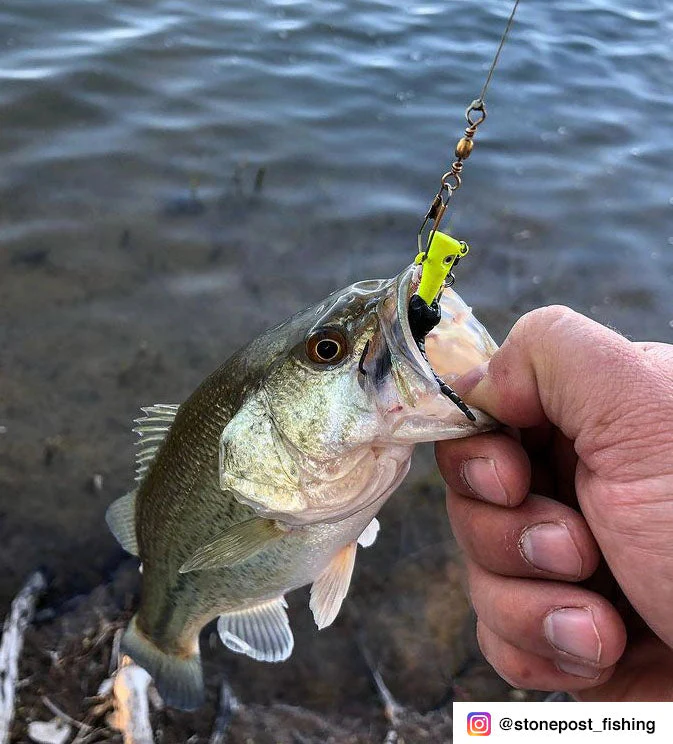 Fin Commander Fin Spin Chartreuse, 2 pc. - Image 4